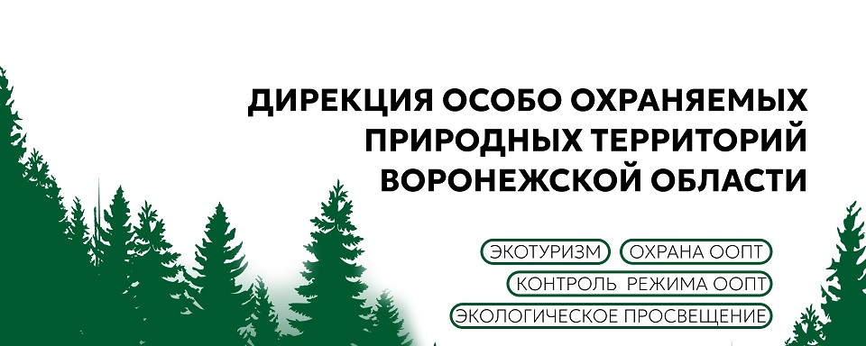 Информация для населения об ограничениях, действующих на территории памятников природы.