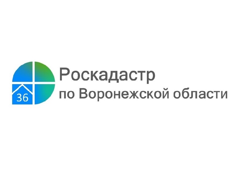 Землеустроительную документацию жители Воронежской области могут получить в Роскадастре.